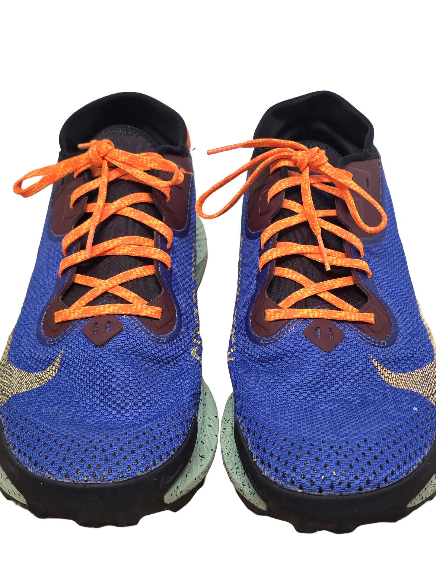Nike Pegasus Trail Gore-Tex Runners