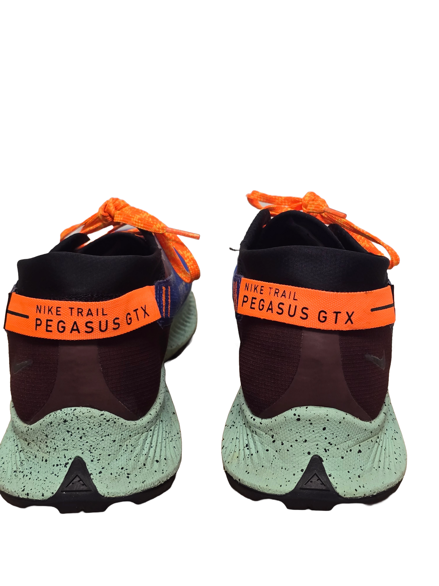 Nike Pegasus Trail Gore-Tex Runners