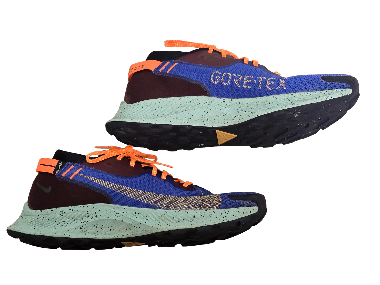 Nike Pegasus Trail Gore-Tex Runners