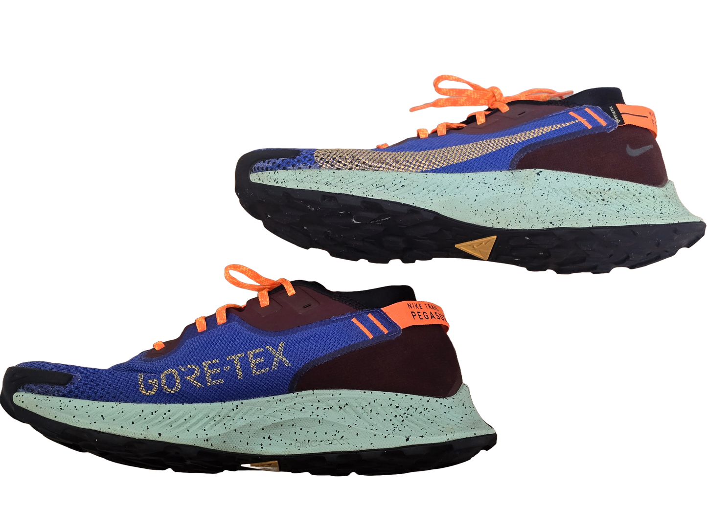 Nike Pegasus Trail Gore-Tex Runners