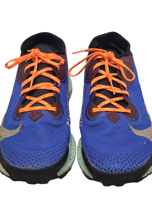 Nike Pegasus Trail Gore-Tex Runners